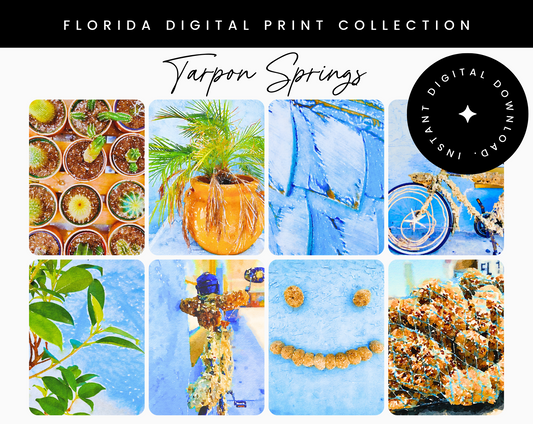 Tarpon Springs Digital Print Collection